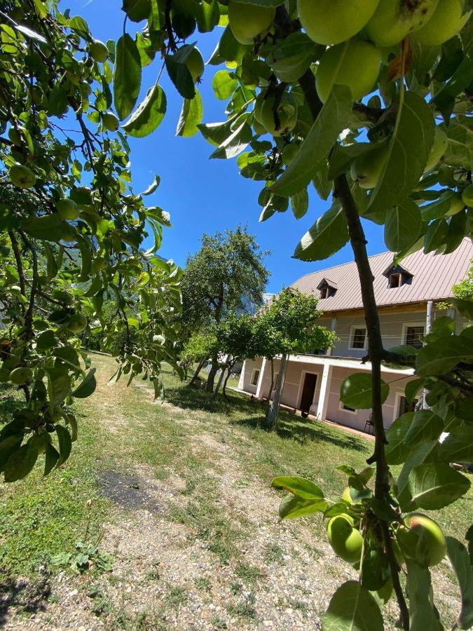 Villa Belinis Theth Exterior photo